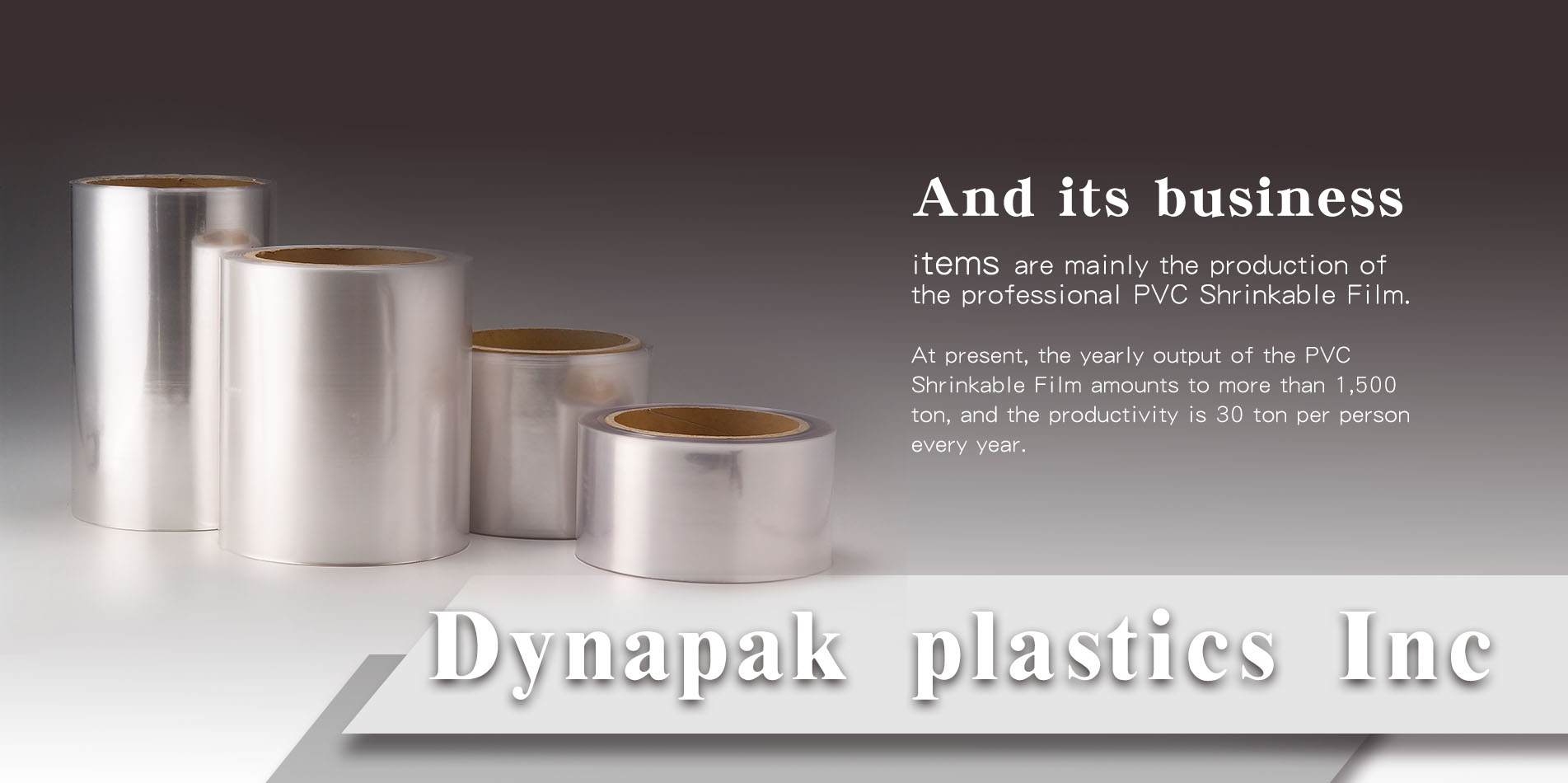 DYNAPAK PLASTICS INC